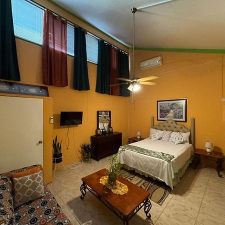 Shalom Suite 2, Manor Park Kingston Extérieur photo