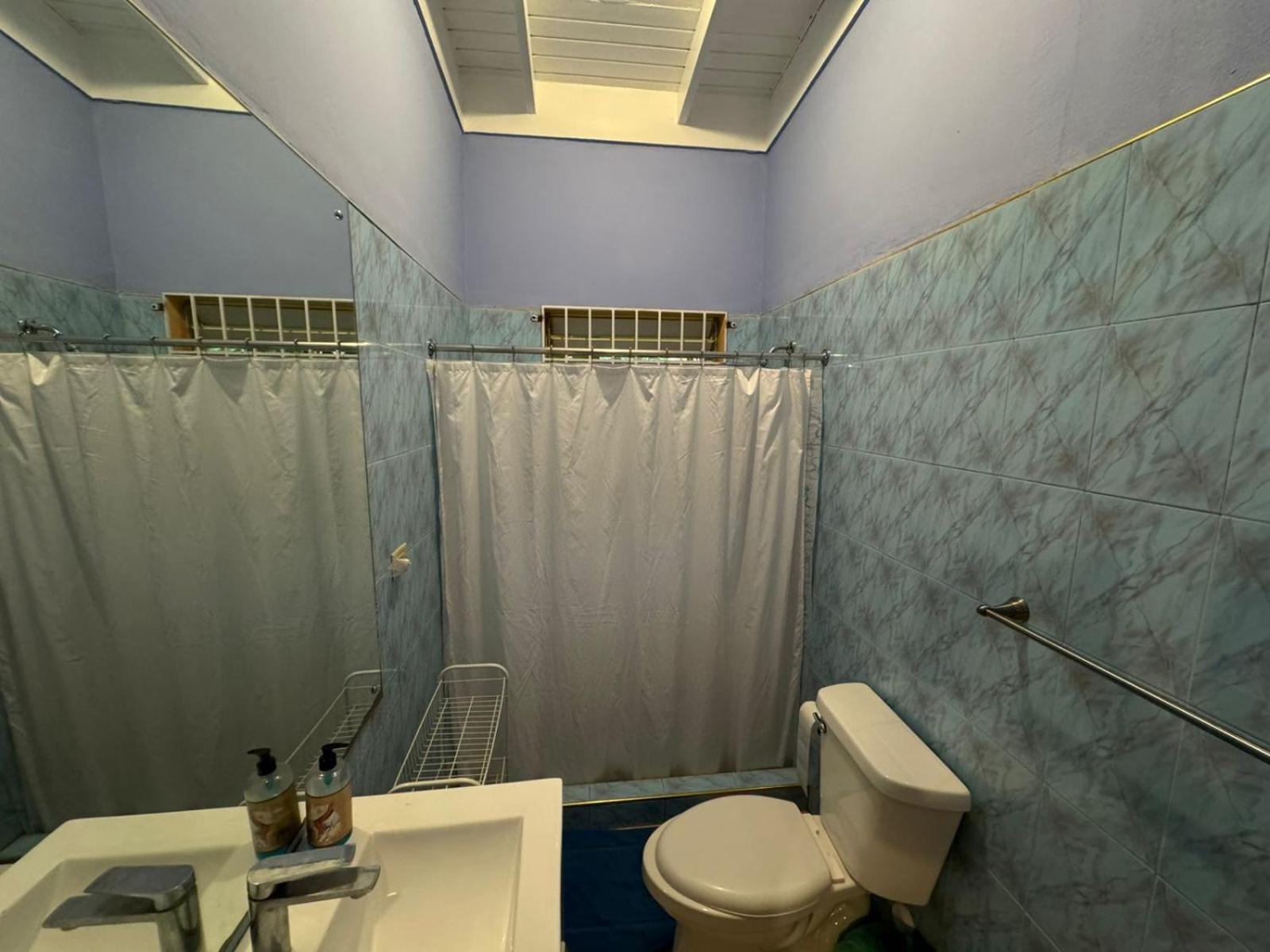 Shalom Suite 2, Manor Park Kingston Extérieur photo